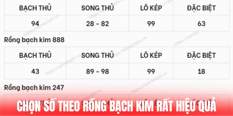 Chọn số theo rồng bạch kim rất hiệu quả
